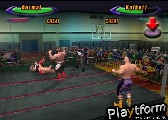 Legends of Wrestling (PlayStation 2)