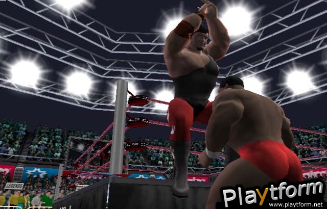 Legends of Wrestling (PlayStation 2)