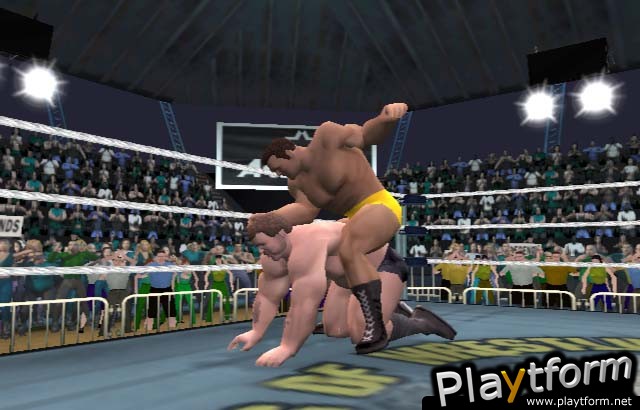 Legends of Wrestling (PlayStation 2)