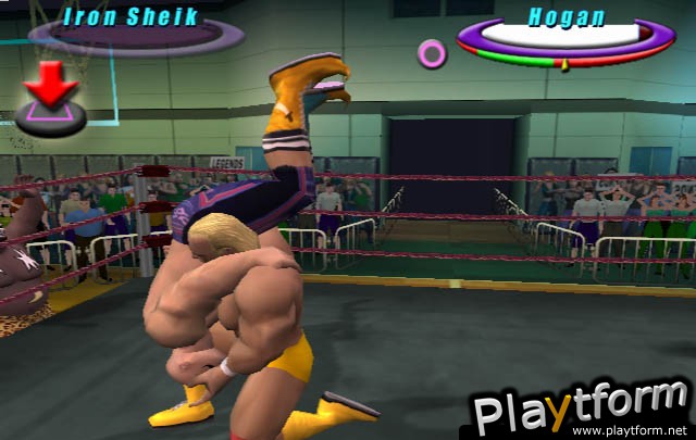 Legends of Wrestling (PlayStation 2)