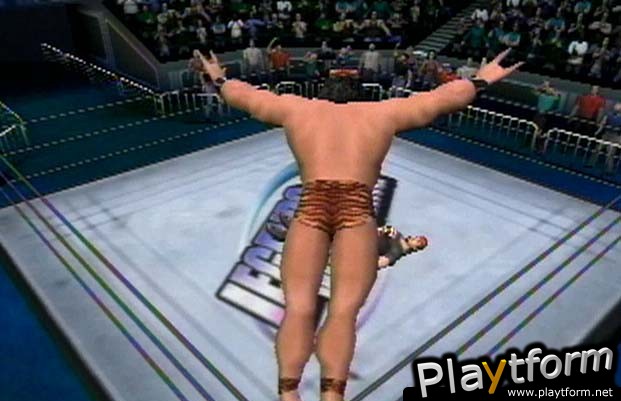 Legends of Wrestling (PlayStation 2)