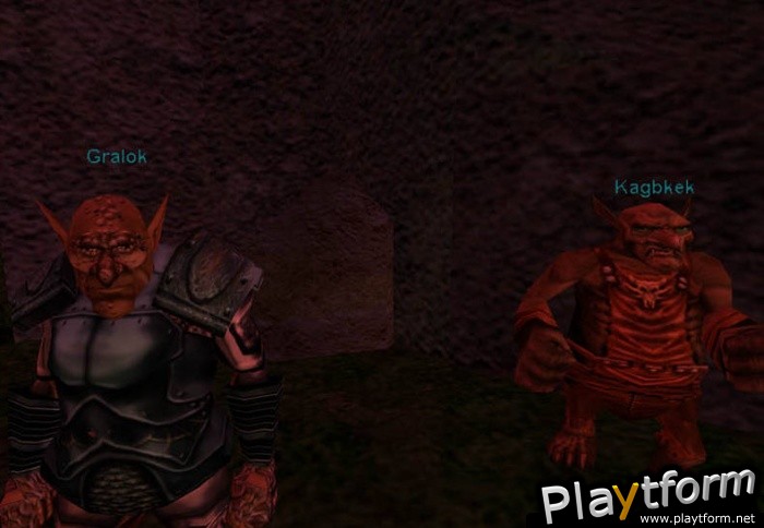 EverQuest: The Shadows of Luclin (PC)