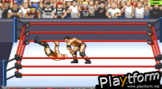 WWF Road to Wrestlemania (Game Boy Advance)