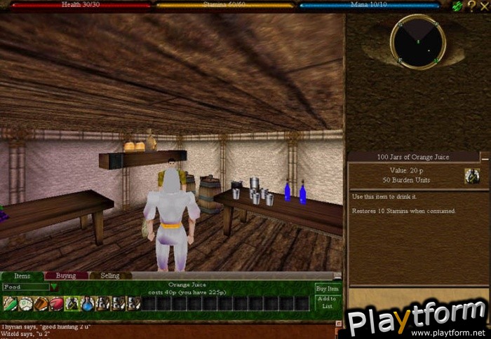 Asheron's Call Dark Majesty (PC)