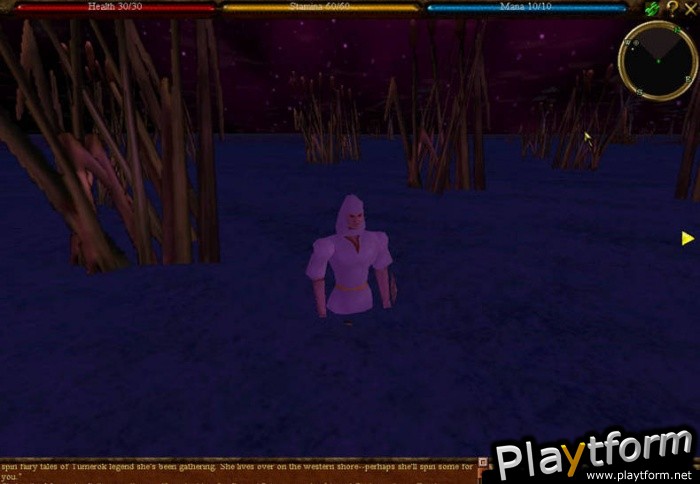 Asheron's Call Dark Majesty (PC)