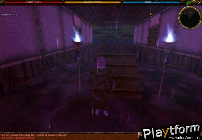 Asheron's Call Dark Majesty (PC)