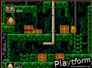 Toki Tori (Game Boy Color)