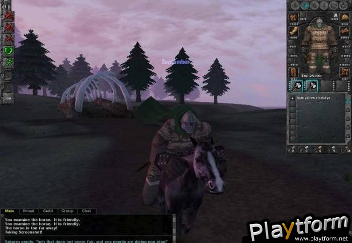 Dark Age of Camelot (PC)