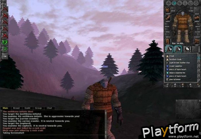 Dark Age of Camelot (PC)