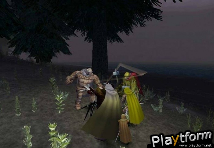 Dark Age of Camelot (PC)