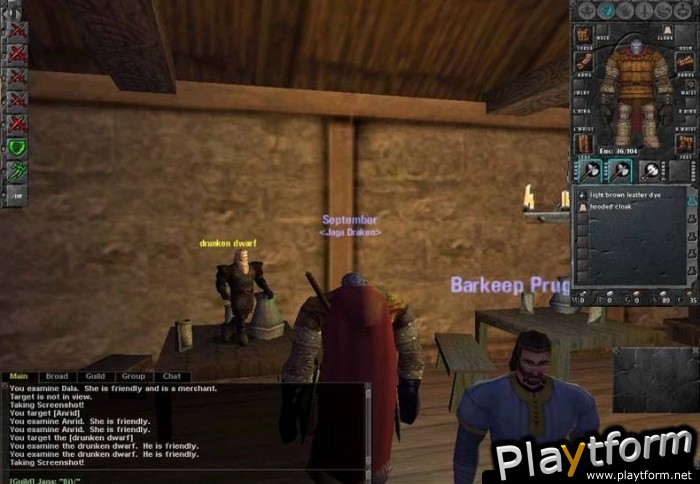 Dark Age of Camelot (PC)