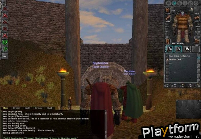 Dark Age of Camelot (PC)