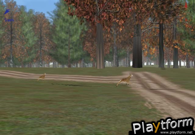 Deer Hunter 5: Tracking Trophies (PC)