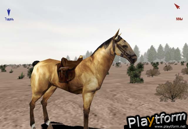 Deer Hunter 5: Tracking Trophies (PC)