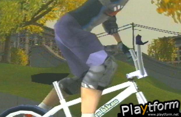 Dave Mirra Freestyle BMX 2 (PlayStation 2)