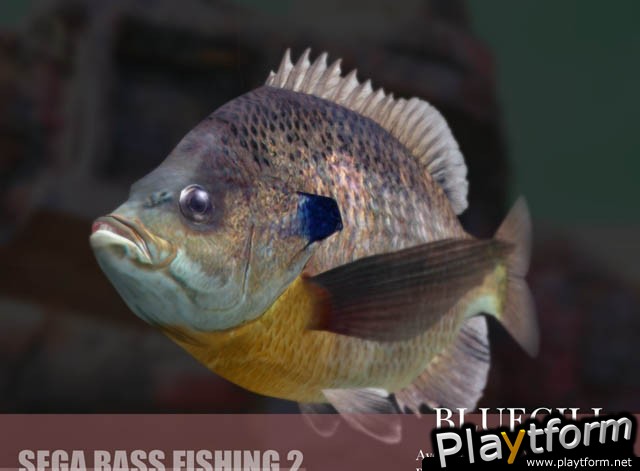 Sega Bass Fishing 2 (Dreamcast)