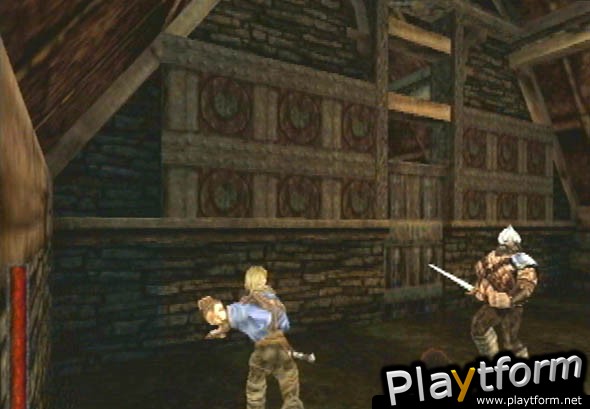 Rune: Viking Warlord (PlayStation 2)