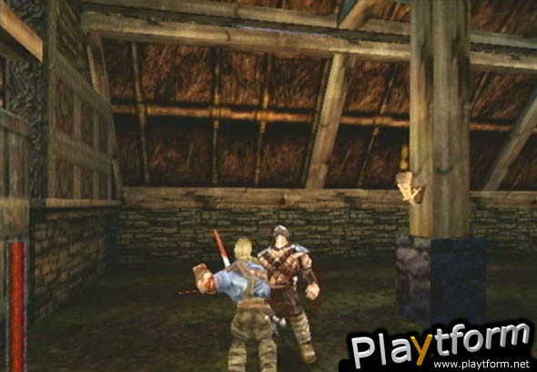 Rune: Viking Warlord (PlayStation 2)