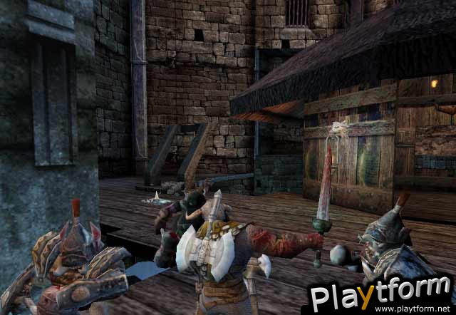 Rune: Viking Warlord (PlayStation 2)