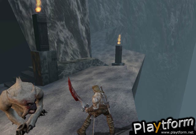 Rune: Viking Warlord (PlayStation 2)