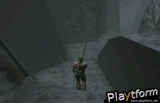 Rune: Viking Warlord (PlayStation 2)