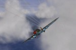 IL-2 Sturmovik (PC)