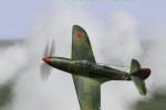 IL-2 Sturmovik (PC)