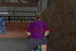 Dave Mirra Freestyle BMX 2 (GameCube)