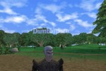 Dark Age of Camelot (PC)