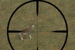 Deer Hunter 5: Tracking Trophies (PC)