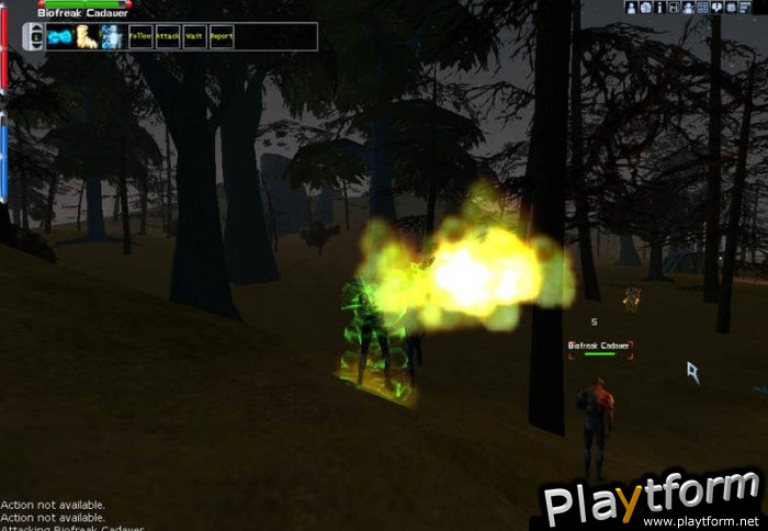 Anarchy Online (PC)