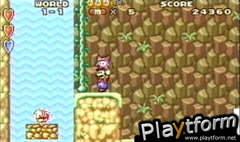 Super Mario Advance (Game Boy Advance)