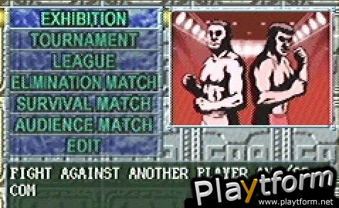 Fire Pro Wrestling (Game Boy Advance)