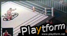 Fire Pro Wrestling (Game Boy Advance)