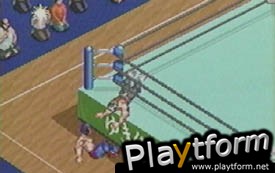 Fire Pro Wrestling (Game Boy Advance)