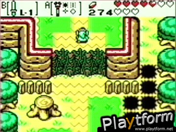 The Legend of Zelda: Oracle of Seasons (Game Boy Color)