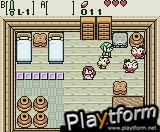 The Legend of Zelda: Oracle of Seasons (Game Boy Color)