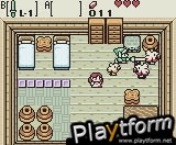 The Legend of Zelda: Oracle of Seasons (Game Boy Color)