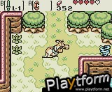 The Legend of Zelda: Oracle of Seasons (Game Boy Color)