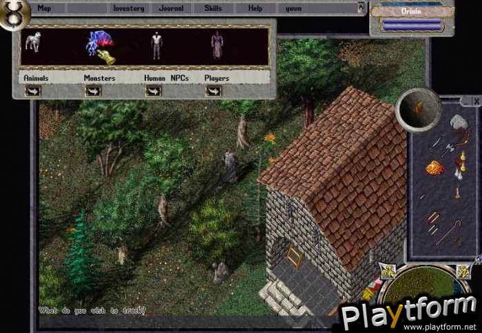 Ultima Online: Third Dawn (PC)