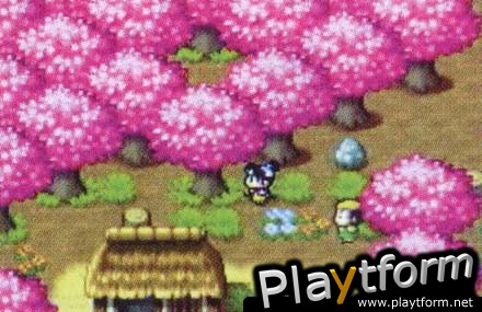 Momotaru Matsuri (Game Boy Advance)