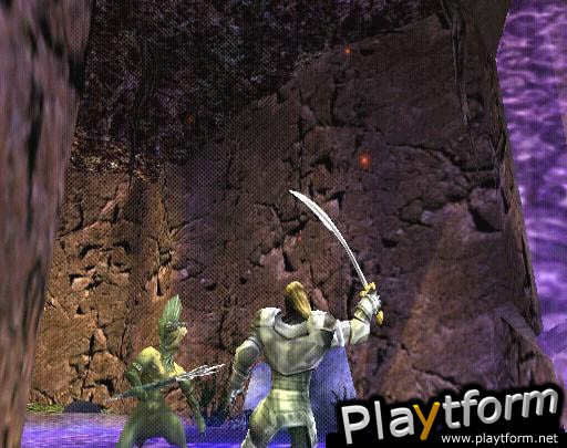 Warriors of Might and Magic (PlayStation 2)