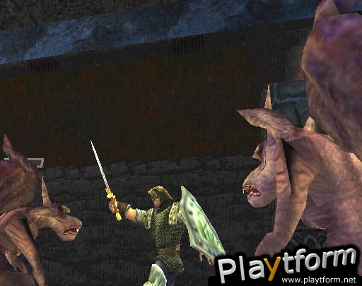 Warriors of Might and Magic (PlayStation 2)