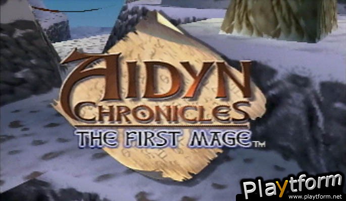 Aidyn Chronicles: The First Mage (Nintendo 64)