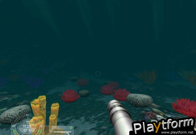 Shark! Hunting the Great White (PC)