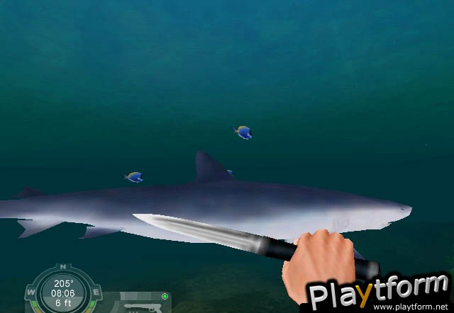 Shark! Hunting the Great White (PC)