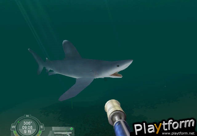 Shark! Hunting the Great White (PC)