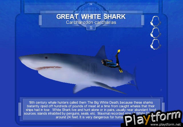 Shark! Hunting the Great White (PC)