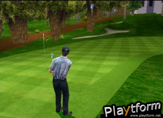 Tiger Woods PGA Tour 2001 (PlayStation 2)