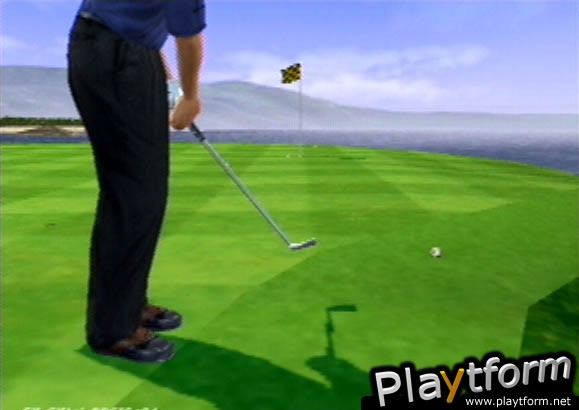 Tiger Woods PGA Tour 2001 (PlayStation 2)